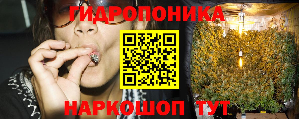Марихуана OG Kush Красный Сулин